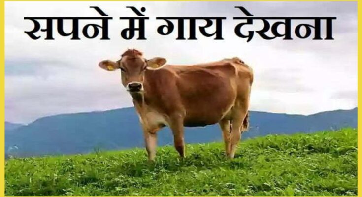 sapne me gaye dekhna