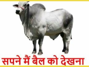 sapne me bail dekhna