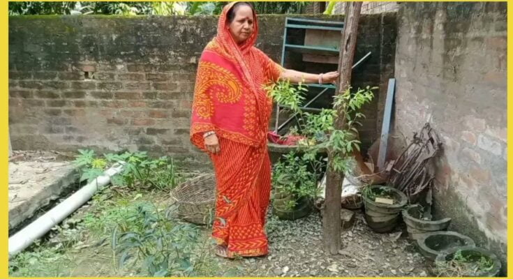 चंदन का पेड