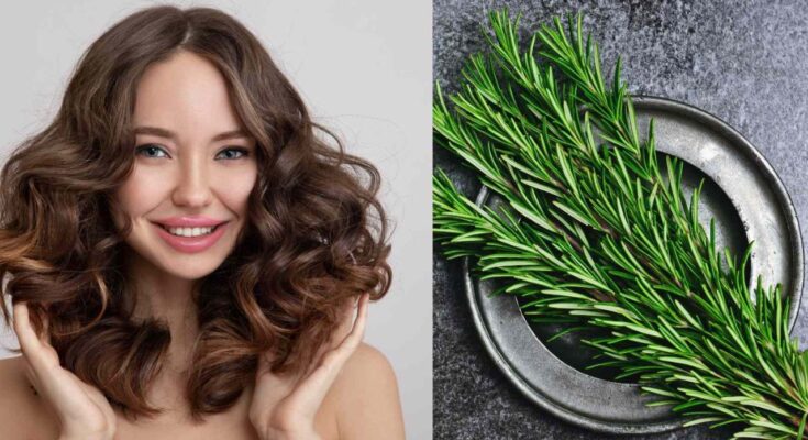 Rosemary Flower For Hair:
