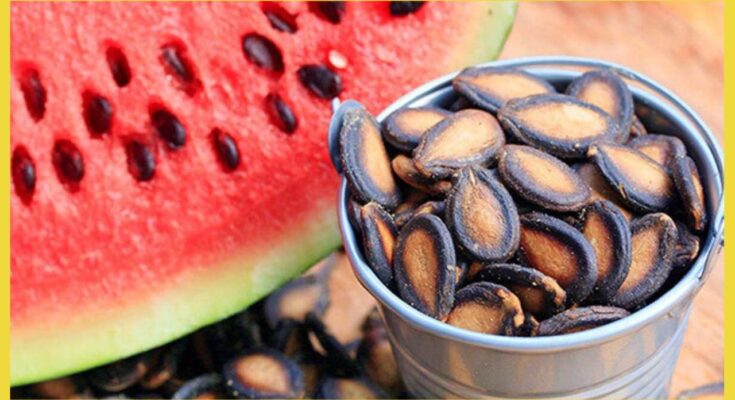 Benefits of Watermelon Seeds