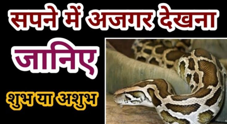 sapne me ajgar dekhna