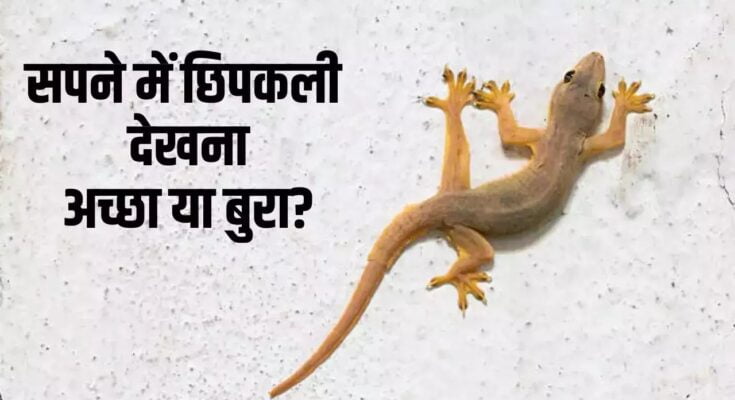 Sapne Me Chipkali Dekhna