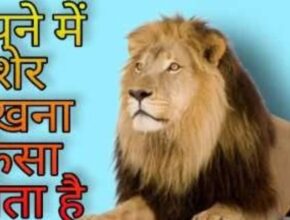 sapne me sher dekhna