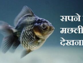 sapne me machli dekhna
