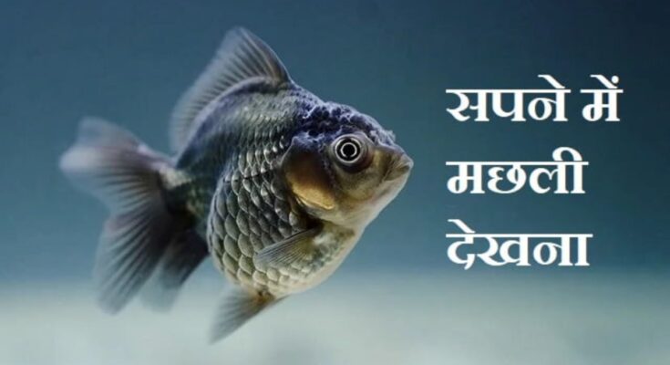 sapne me machli dekhna