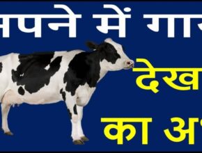 sapne me gaay dekhna