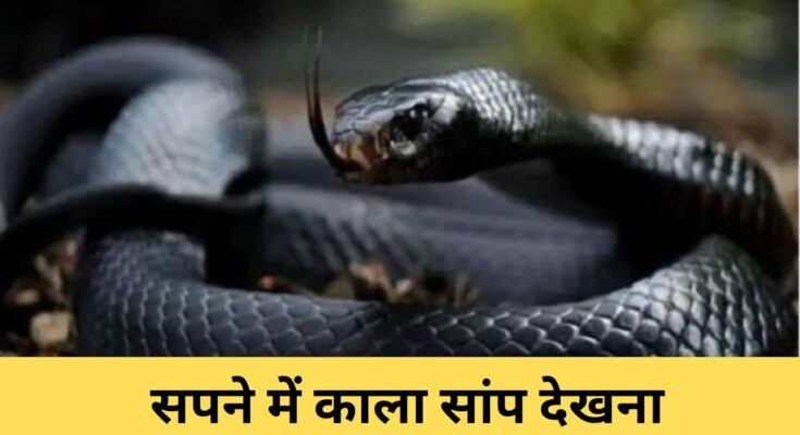 sapne me kala saap dekhna
