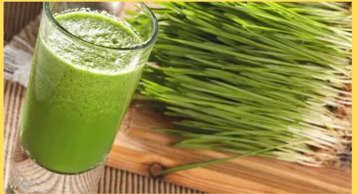 Wheatgrass Drink
