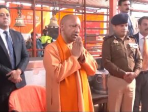 yogi