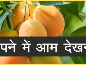 Sapne Me Aam Dekhna