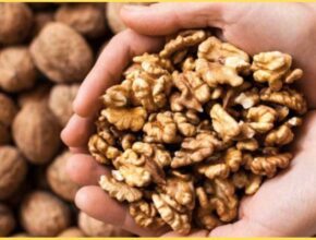 benefits of walnut