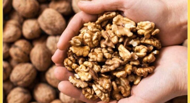 benefits of walnut