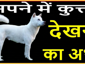 sapne me kutta dekhna