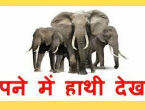 sapne me hathi dekhna
