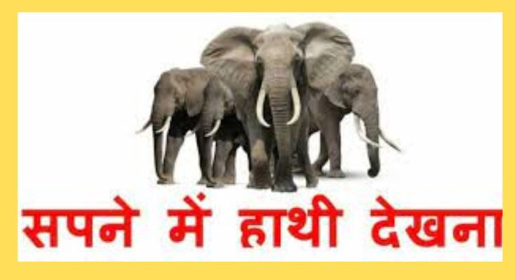 sapne me hathi dekhna