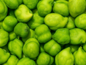 green chickpeas