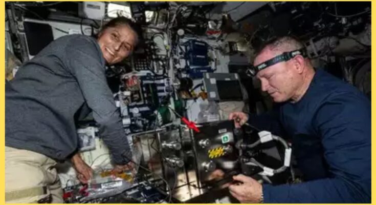 Sunita Williams in space