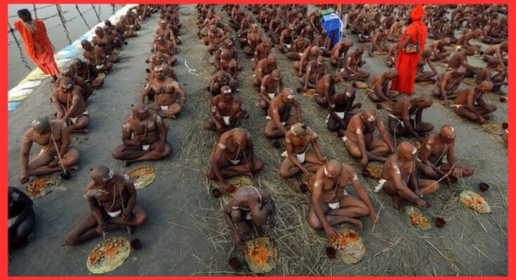 Mahakumbh Naga Sadhu