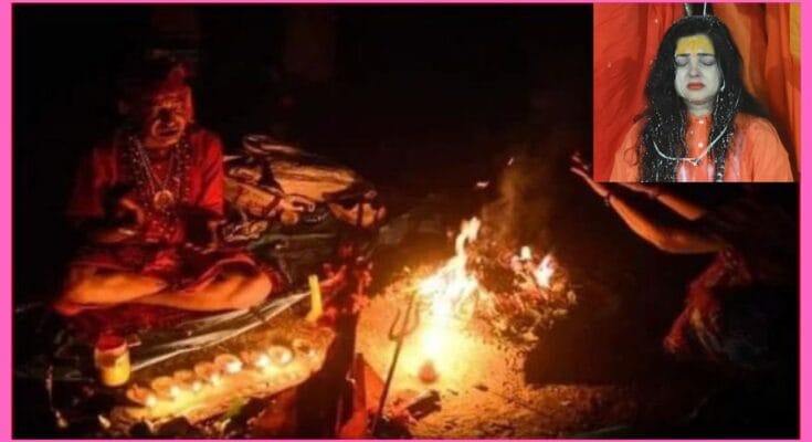 Mahakumbh Kinner Akhada