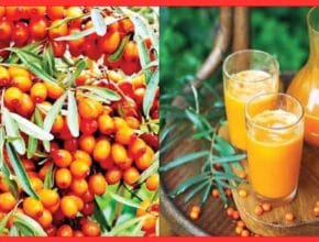 Vitamin C Fruits