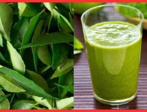 Curry Leaves Juice Benefits