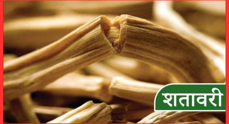 Vitamin B12 Deficiency