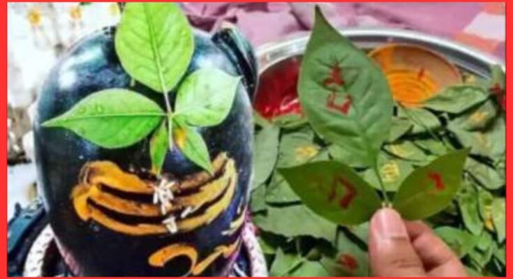 Health Benefits Of Bael Patra