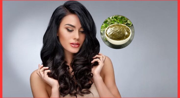 Naturally Black Hair