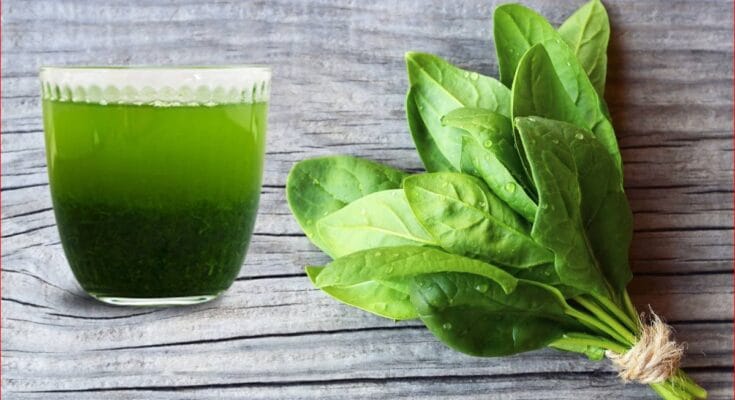 Spinach Juice Benefits