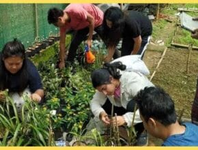 agriculture education