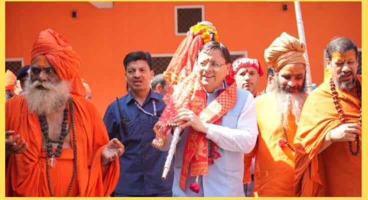 cm dhami holly stick