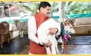 madhya pradesh gaushala