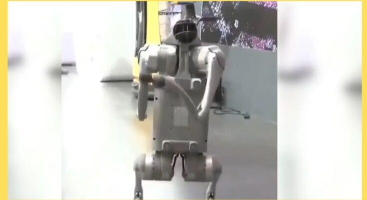 Galgotias University